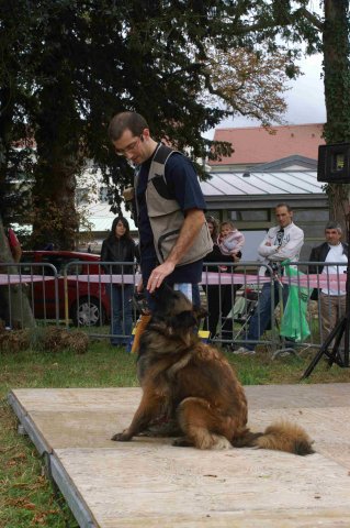 foire-haricots 2011-09-17et18